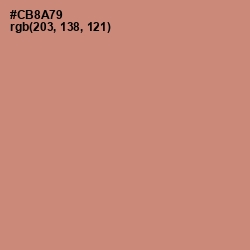 #CB8A79 - New York Pink Color Image