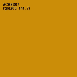 #CB8D07 - Pizza Color Image