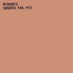 #CB9075 - Burning Sand Color Image