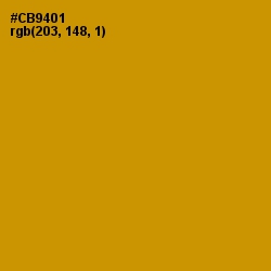 #CB9401 - Pizza Color Image