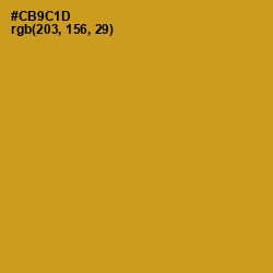 #CB9C1D - Pizza Color Image