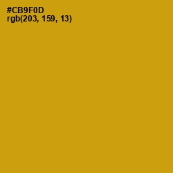 #CB9F0D - Pizza Color Image