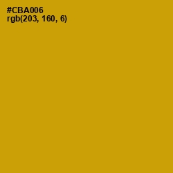 #CBA006 - Buddha Gold Color Image