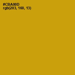 #CBA00D - Buddha Gold Color Image