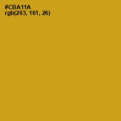 #CBA11A - Buddha Gold Color Image