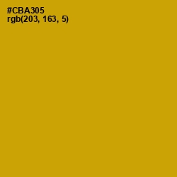 #CBA305 - Buddha Gold Color Image