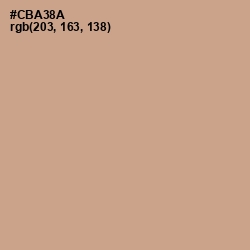 #CBA38A - Indian Khaki Color Image