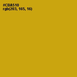 #CBA510 - Buddha Gold Color Image