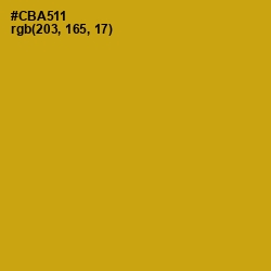 #CBA511 - Buddha Gold Color Image