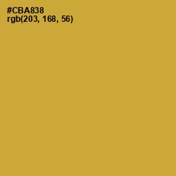 #CBA838 - Old Gold Color Image