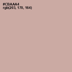 #CBAAA4 - Bison Hide Color Image
