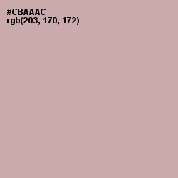 #CBAAAC - Clam Shell Color Image