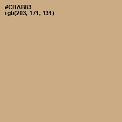 #CBAB83 - Tan Color Image