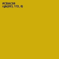 #CBAC08 - Buddha Gold Color Image