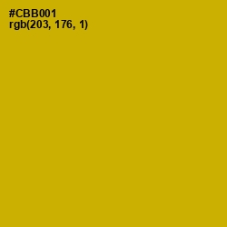 #CBB001 - Buddha Gold Color Image