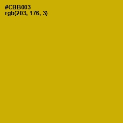 #CBB003 - Buddha Gold Color Image