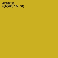 #CBB122 - Hokey Pokey Color Image