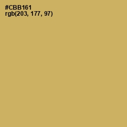 #CBB161 - Laser Color Image