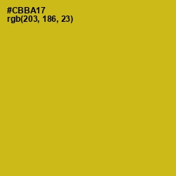 #CBBA17 - Gold Tips Color Image