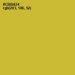 #CBBA34 - Earls Green Color Image