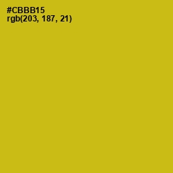 #CBBB15 - Gold Tips Color Image