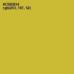 #CBBB34 - Earls Green Color Image