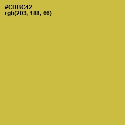 #CBBC42 - Turmeric Color Image