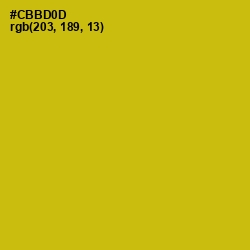 #CBBD0D - Gold Tips Color Image