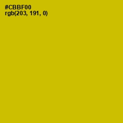 #CBBF00 - Galliano Color Image