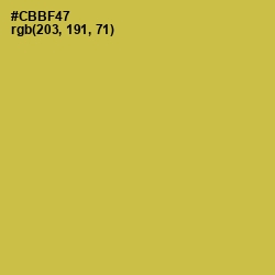 #CBBF47 - Turmeric Color Image