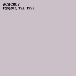 #CBC0C7 - Silver Color Image