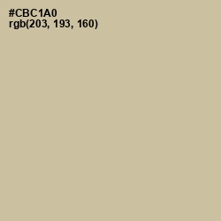 #CBC1A0 - Chino Color Image