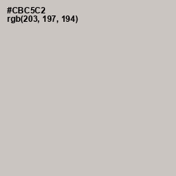 #CBC5C2 - Pumice Color Image