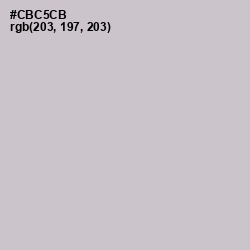 #CBC5CB - Pumice Color Image