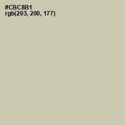 #CBC8B1 - Foggy Gray Color Image