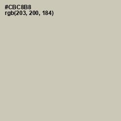 #CBC8B8 - Foggy Gray Color Image