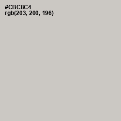 #CBC8C4 - Pumice Color Image