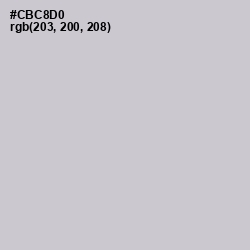 #CBC8D0 - Ghost Color Image