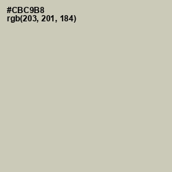 #CBC9B8 - Foggy Gray Color Image