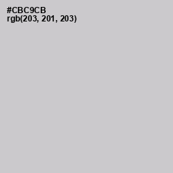 #CBC9CB - Pumice Color Image