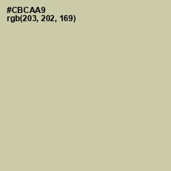 #CBCAA9 - Thistle Green Color Image