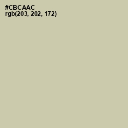 #CBCAAC - Thistle Green Color Image