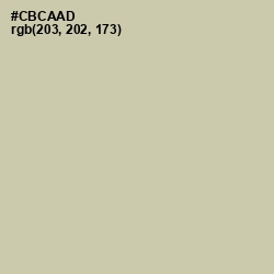 #CBCAAD - Thistle Green Color Image