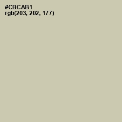 #CBCAB1 - Foggy Gray Color Image