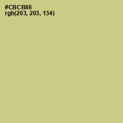 #CBCB86 - Pine Glade Color Image