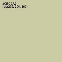 #CBCCA3 - Thistle Green Color Image