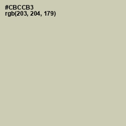 #CBCCB3 - Foggy Gray Color Image