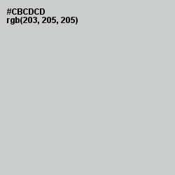 #CBCDCD - Pumice Color Image