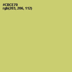 #CBCE70 - Tacha Color Image