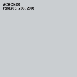 #CBCED0 - Ghost Color Image